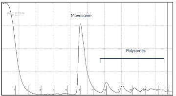 哺乳动物样本峰图