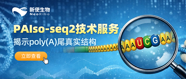 PAIso-seq2技术服务