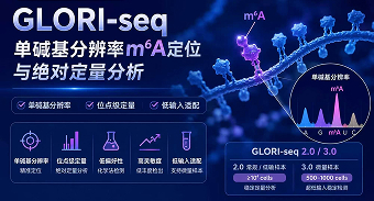 GLORI-seq
